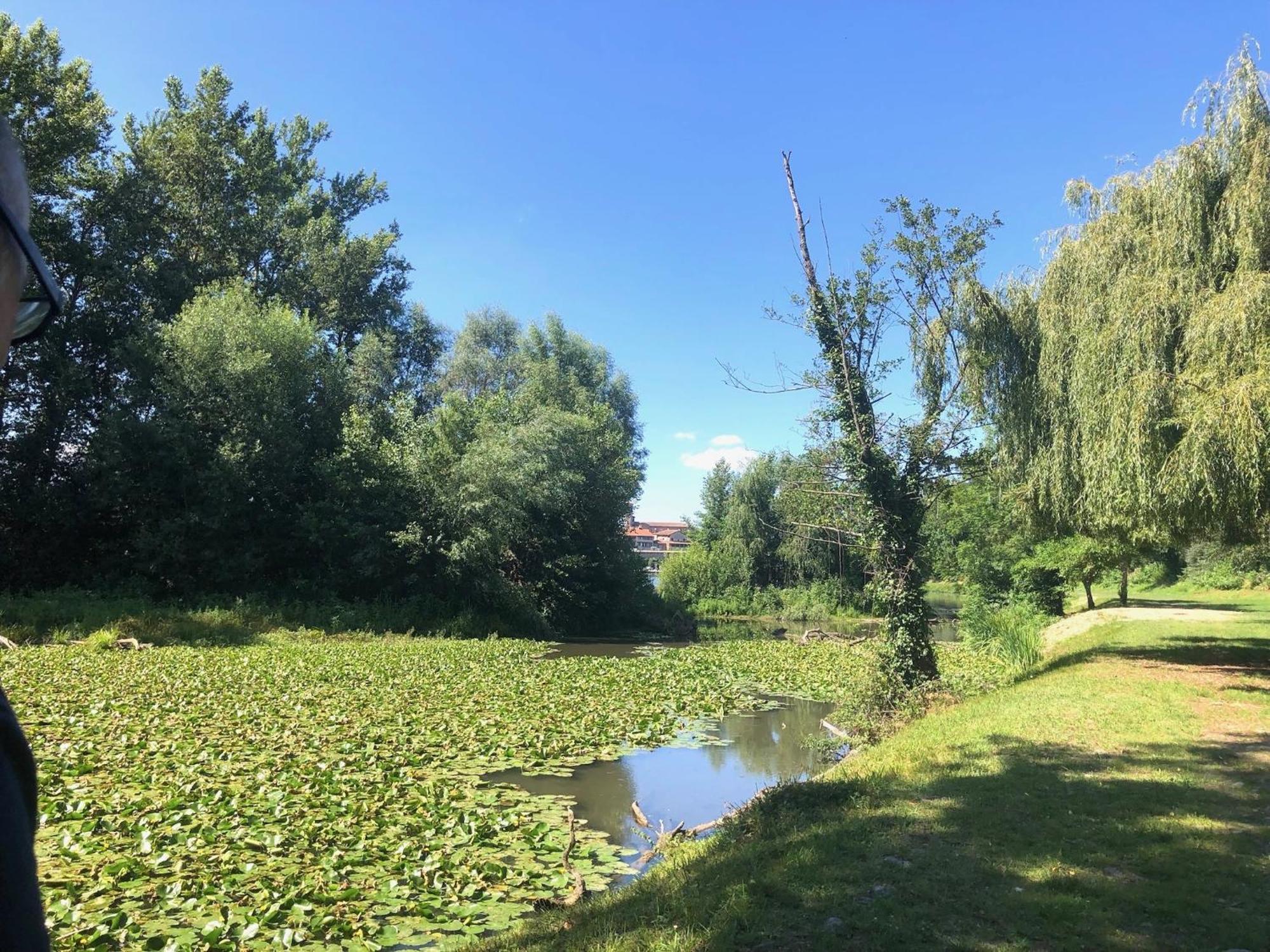 Beautiful Village House Next To Garonne River! Couladere Luaran gambar
